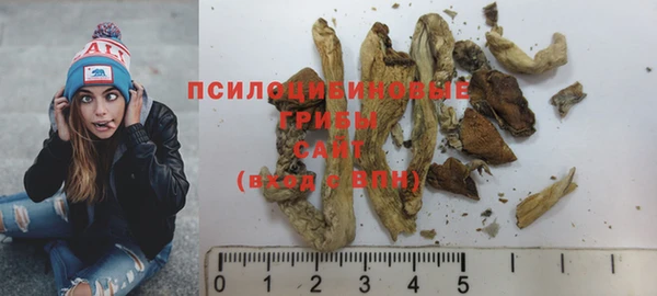 твердый Абаза