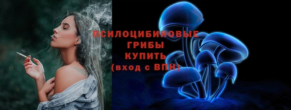 твердый Абаза