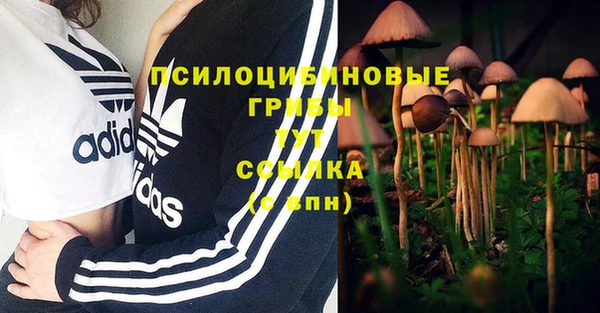 твердый Абаза
