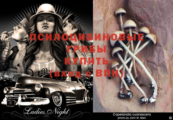 MESCALINE Абинск