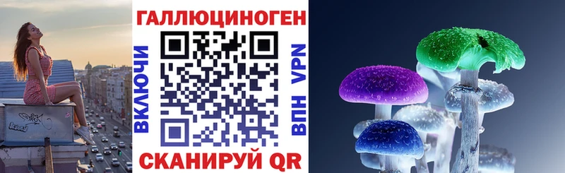 блэк спрут tor  что такое наркотик  Лакинск  Галлюциногенные грибы Psilocybine cubensis 